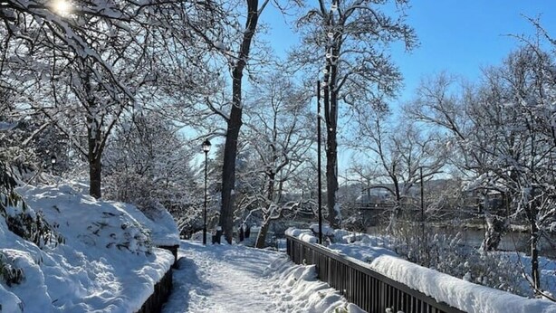 A snow-covered pathway flanked by trees and a metal railing.