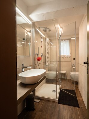 Shower, hair dryer, bidet, towels