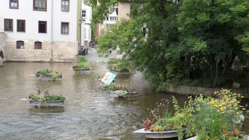 House | Property grounds