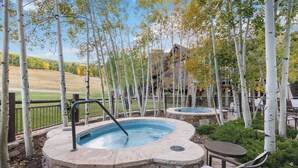 A hot tub area with stone seating and a pool, surrounded by birch trees and a wooden deck.