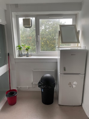 Cozy retreat with a window view, featuring a radiator, refrigerator, and potted plants.