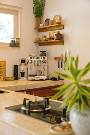 Fridge, oven, stovetop, electric kettle