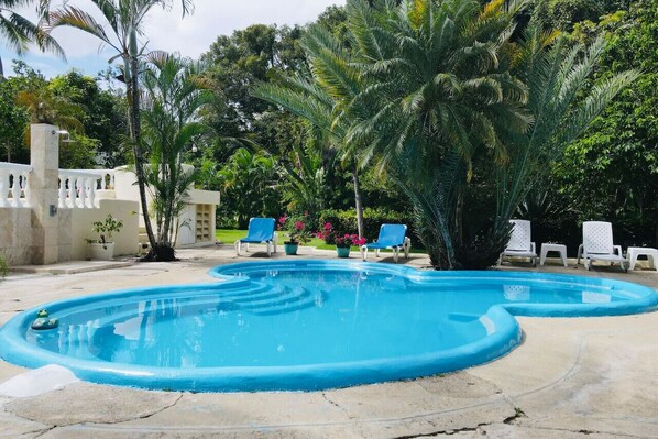 Relax by the serene pool surrounded by lush greenery and palm trees, with lounge chairs for a comfortable stay.