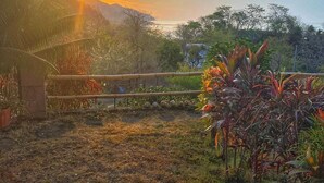 Un jardín con valla de madera, plantas tropicales y un atardecer al fondo.