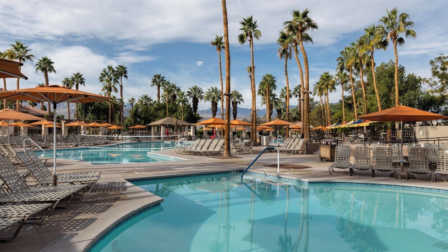 A pool area with lounge chairs and umbrellas, surrounded by palm trees.