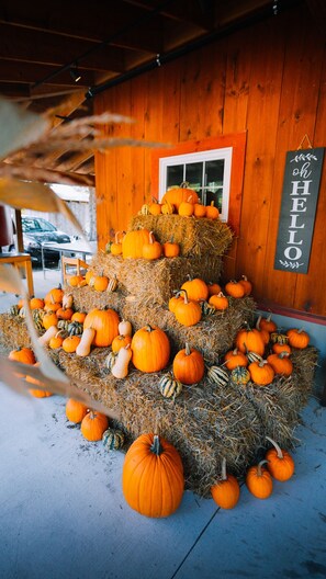 Property grounds - The AFrame at Finch Creek (Bellaire)