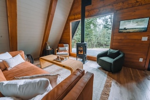 TV connectée, cheminée, livres