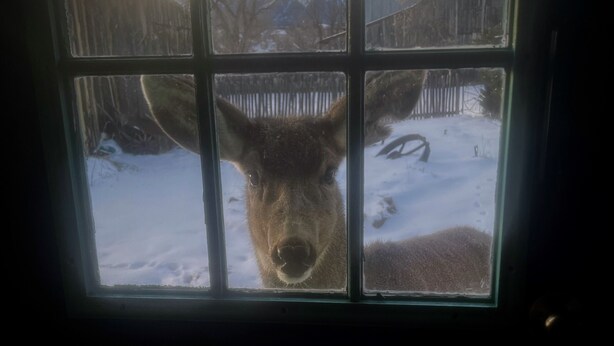 A window view of a snowy landscape with mountains in the background. - Mountain getaway in the heart of La Veta! (La Veta)