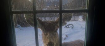 Mountain getaway in the heart of La Veta!