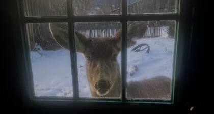 Mountain getaway in the heart of La Veta!