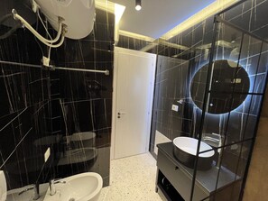 Shower, hair dryer, bidet, towels