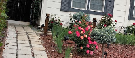 A house with a pathway leading to the front door, surrounded by a garden with various plants and flowers.