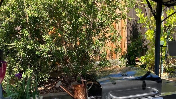 Un barbecue installé à l’extérieur, avec une table blanche et un barbecue noir, entouré de verdure et d’une clôture en bois.
