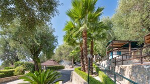 A pathway lined with palm trees and stone walls, leading to a building with a green roof.