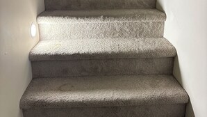 A carpeted staircase with a handrail on the right. - The Last Resort with private entrance. In Basement. (Winnipeg)