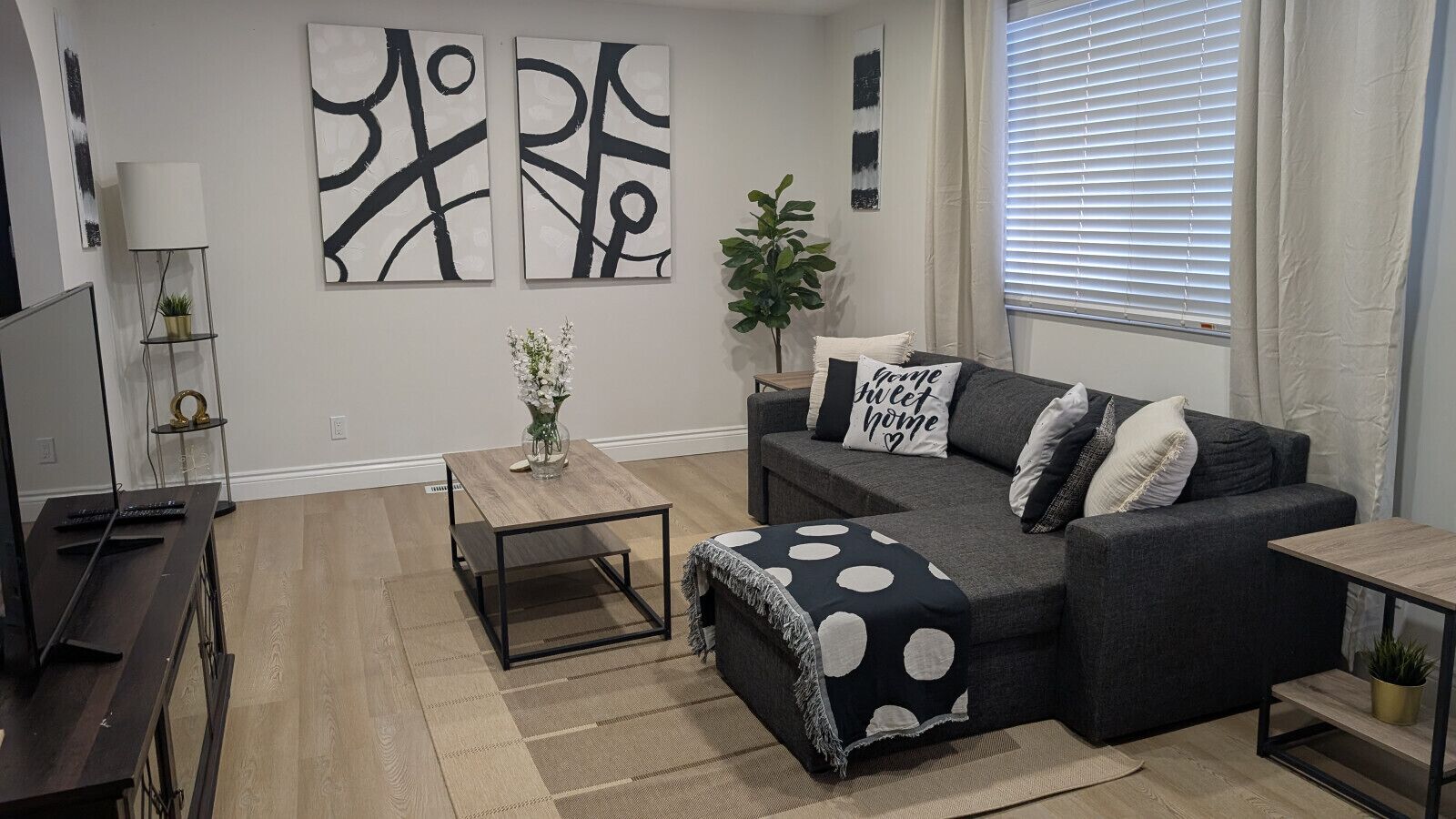 TV connectée, cheminée, livres