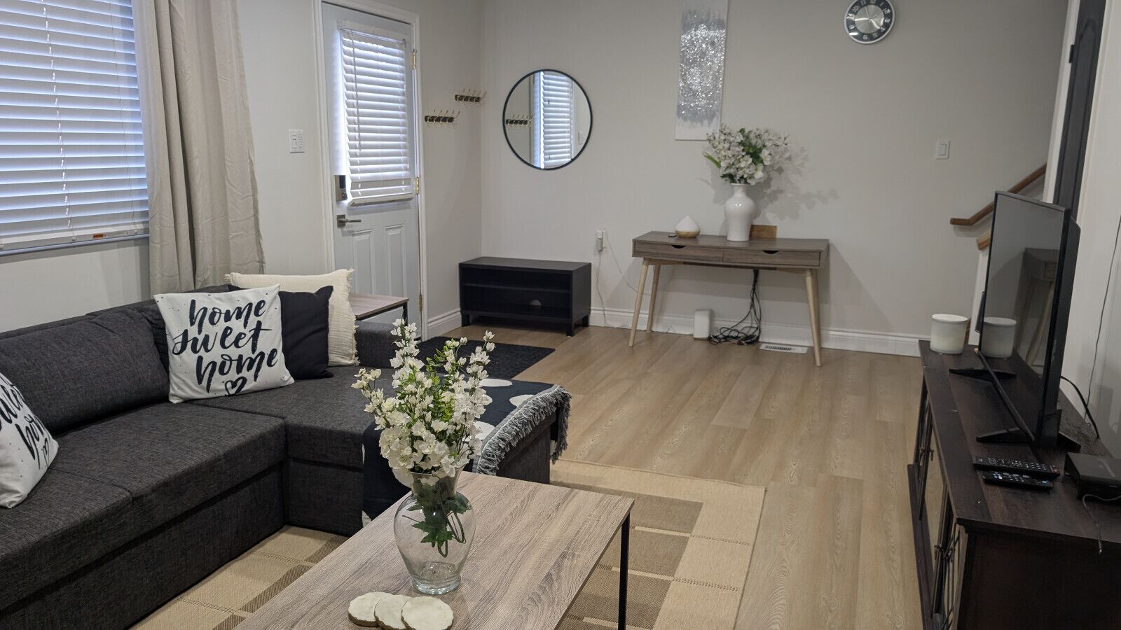 Smart TV, fireplace, books