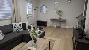 Smart TV, fireplace, books