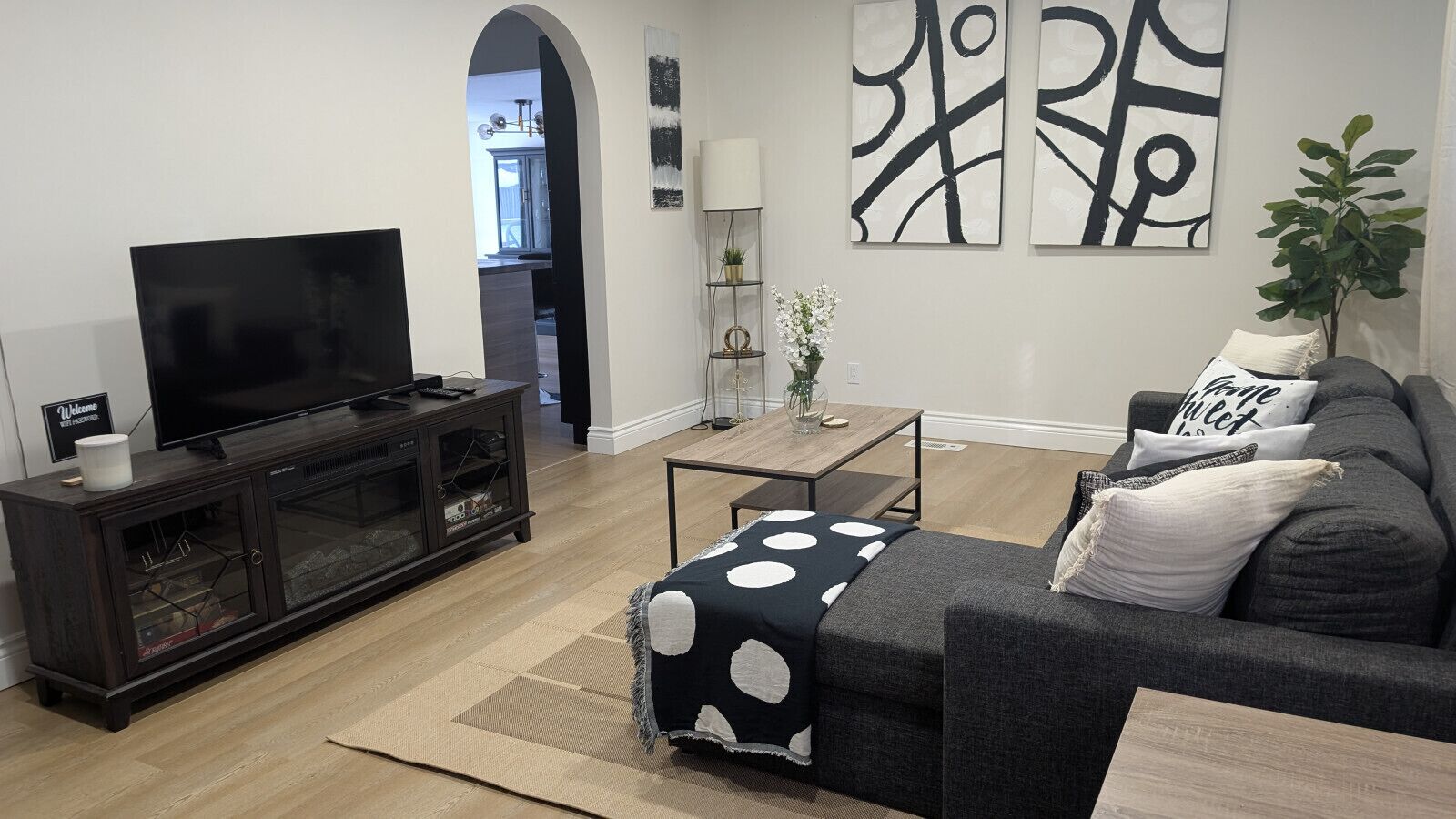 Smart TV, fireplace, books