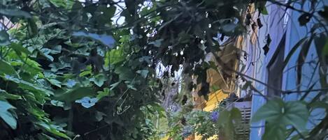外観の詳細