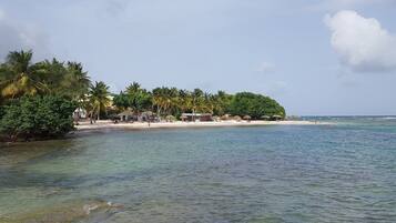 A beach with clear water, palm trees, and a small building.