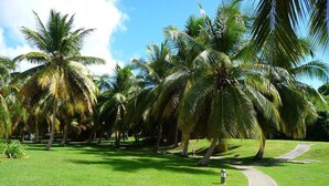 A pathway leading through a lush garden with palm trees and a clear sky. - Anse des Rochers Beach & Pool Resort (Saint-François)