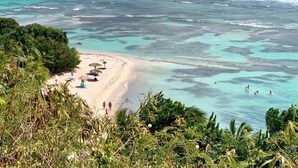 A beach with clear turquoise waters, a sandy shore, and lush greenery. - Anse des Rochers Beach & Pool Resort (Saint-François)