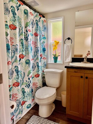 Shower, hair dryer, towels