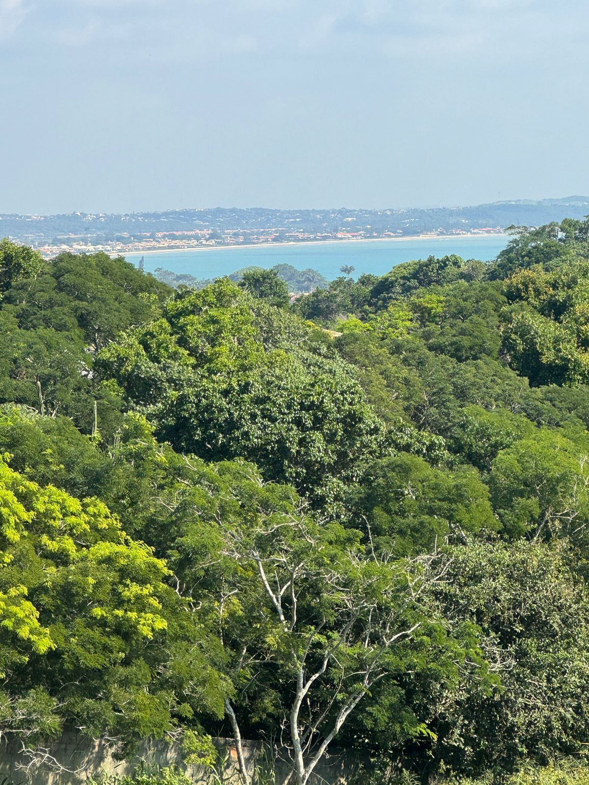 Foto - Pousada Lua Nova Buzios