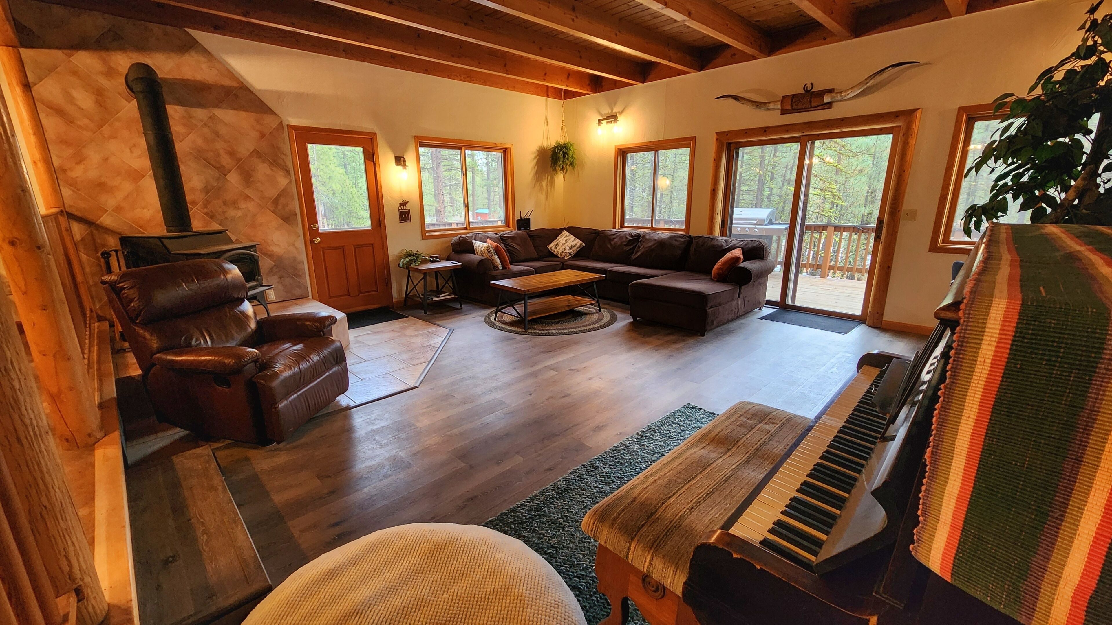 Smart TV, fireplace, books, stereo