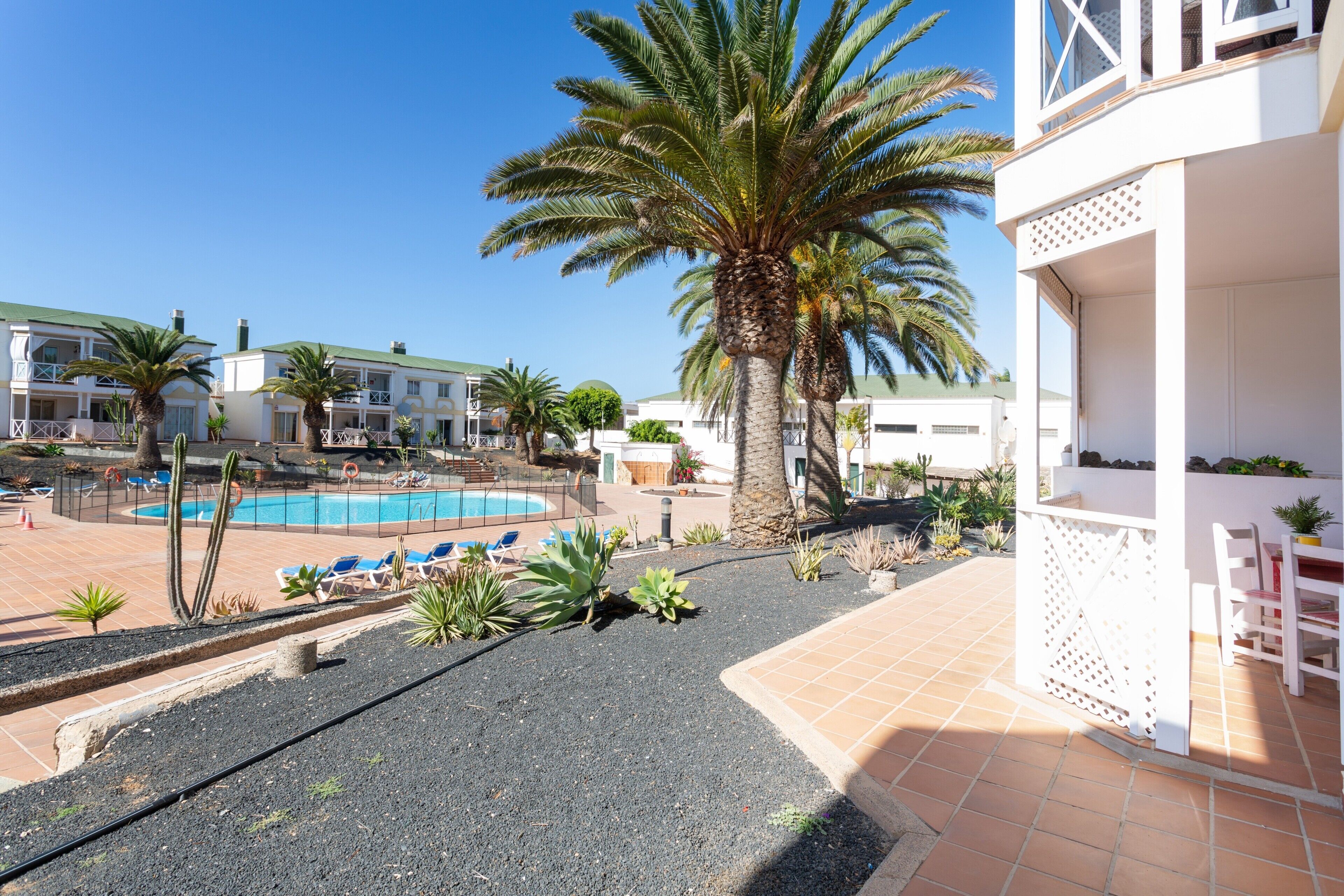 Un área de piscina con sillones de descanso, palmeras y un edificio con balcones.