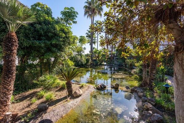 Un jardin paisible avec un étang, des palmiers et un feuillage luxuriant.