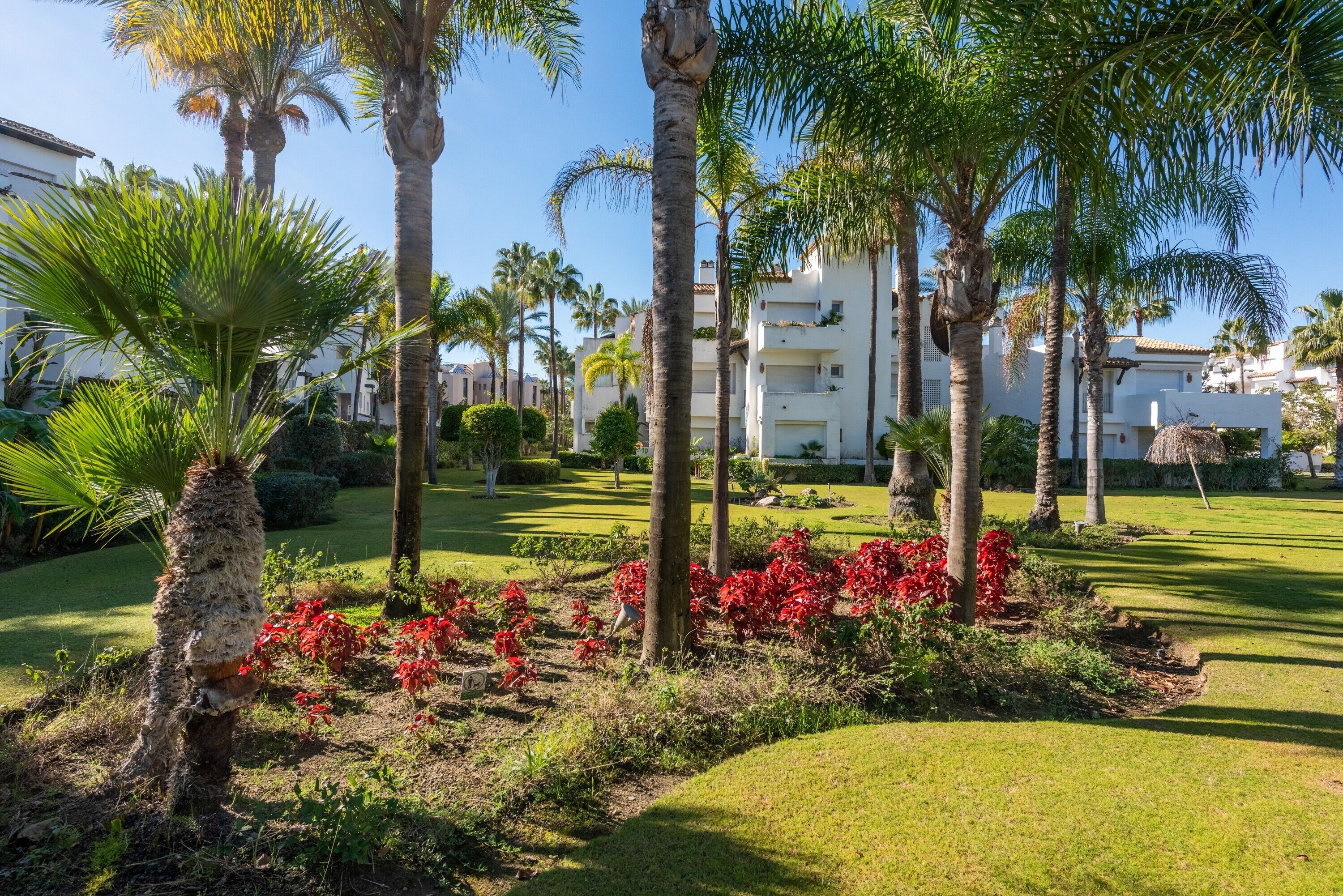 Un jardin bien entretenu, agrémenté de palmiers, de fleurs rouges et d’une pelouse parfaitement taillée.
