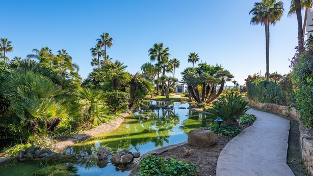 A landscaped garden with a water feature, palm trees, and a concrete pathway. - Apartment 'Apartamento De Lujo A 30m Playa' with Sea View, Wi-Fi and Air Conditioning (Estepona)