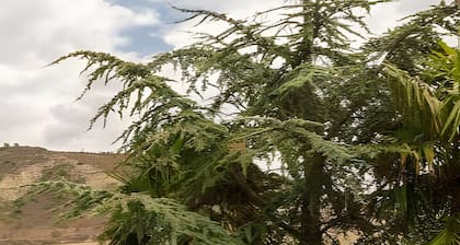 Chalet 'Vivienda Rural Casa Del Medico' with Mountain View, Wi-Fi and Air Conditioning