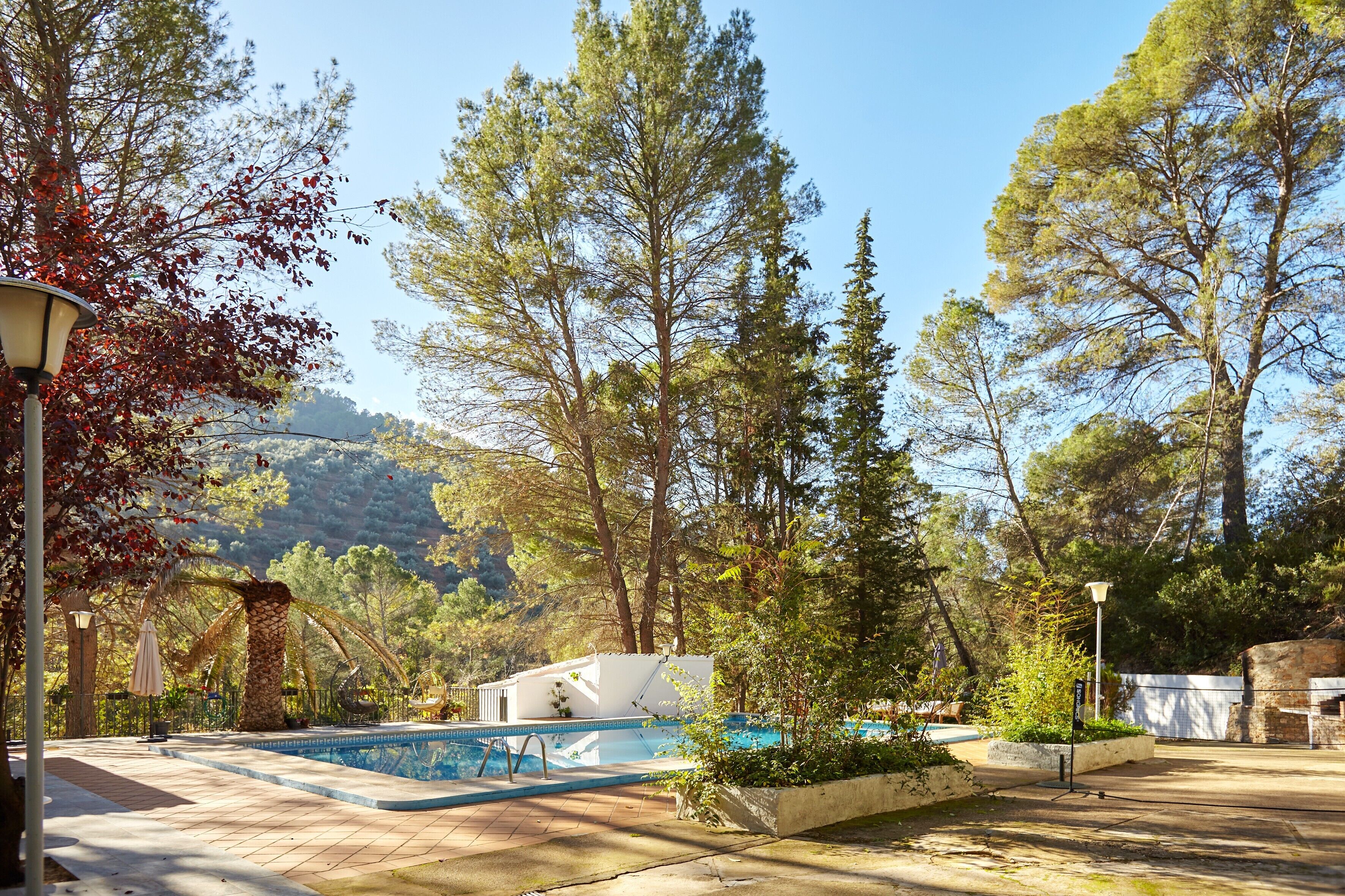 A pool area with a clear view of the surrounding trees and a mountainous backdrop.
