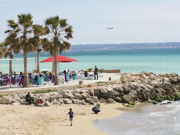 Un café situé en bord de mer, avec une terrasse, des palmiers et une vue sur l’océan.