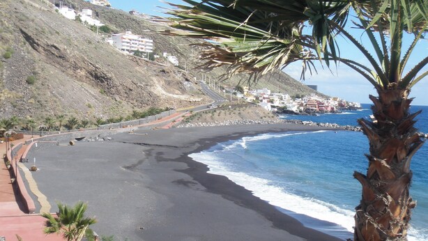 Una carretera costera con playa, palmeras y edificios al fondo.