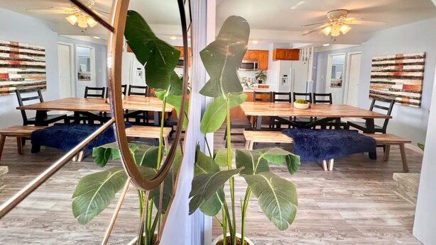 Un comedor con una gran mesa de madera, varias sillas y una planta en maceta.