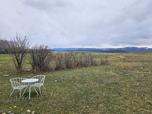 تناول الطعام بالخارج