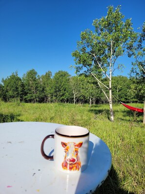 المنطقة المحيطة بالمنشأة
