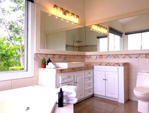 Shower, jetted tub, hair dryer, towels - Luxurious home with stunning mountain views in Costa Rica's Central Valley! (Atenas)