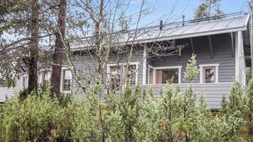 A two-story house with a metal roof, surrounded by dense evergreen trees.