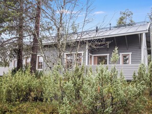 A two-story house with a metal roof, surrounded by dense evergreen trees.