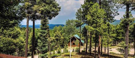 Une cabane entourée de grands pins, offrant une vue dégagée sur les montagnes en arrière-plan.