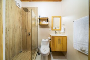 Shower, towels, soap, toilet paper