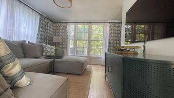 Smart TV, fireplace, books, stereo