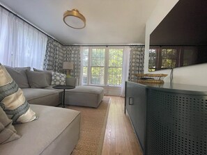 Smart TV, fireplace, books, stereo