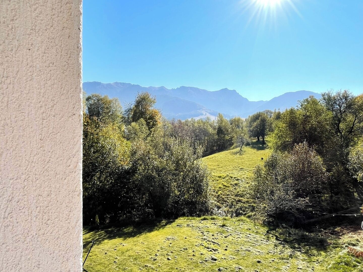 Vista de un paisaje montañoso con árboles y cielo despejado.