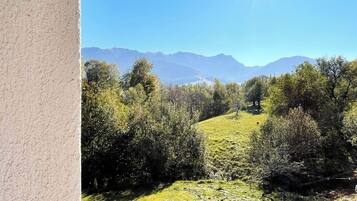 Vista de un paisaje montañoso con árboles y cielo despejado.